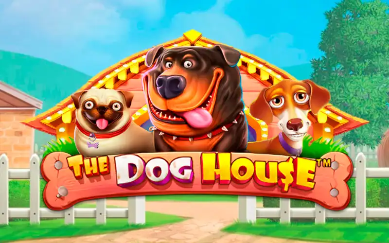 Spin The Dog House slot on Melbet now.